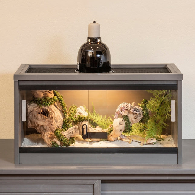 Mojave Reptielenverblijf
