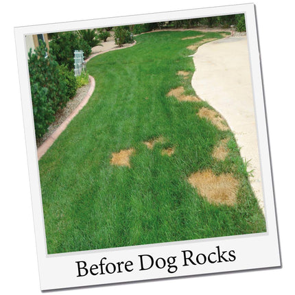 Dog Rocks