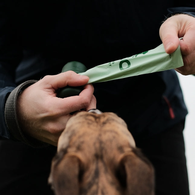 Poop Bags Recycled - Unscented (720)