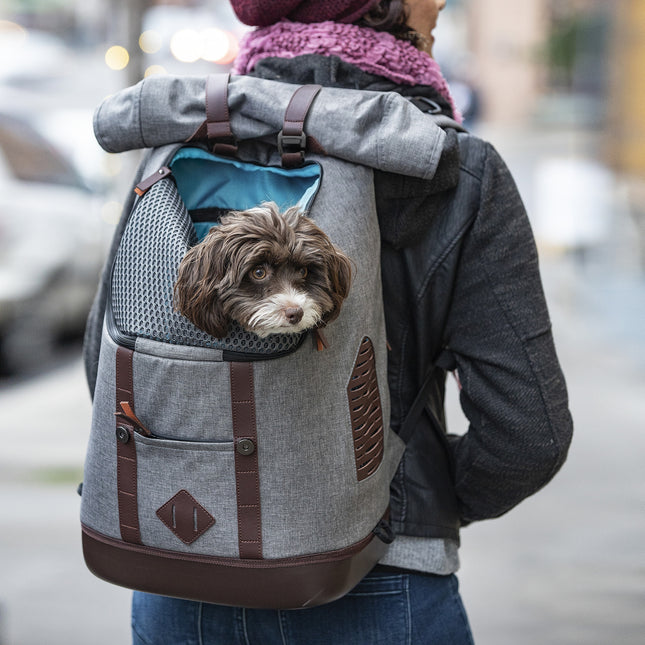 Rucksack für Hunde