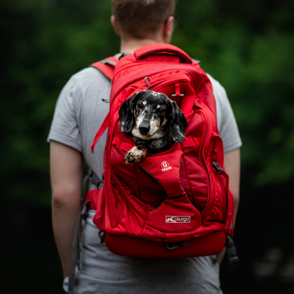 G-Train Dog Carrier Backpack
