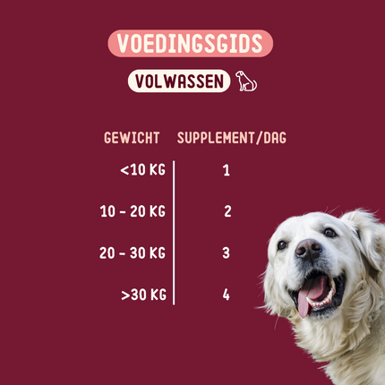 Skin Health - Ergänzungsfuttermittel für Hunde - 270g
