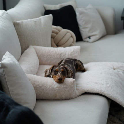 NUZZLE Sofa Bed