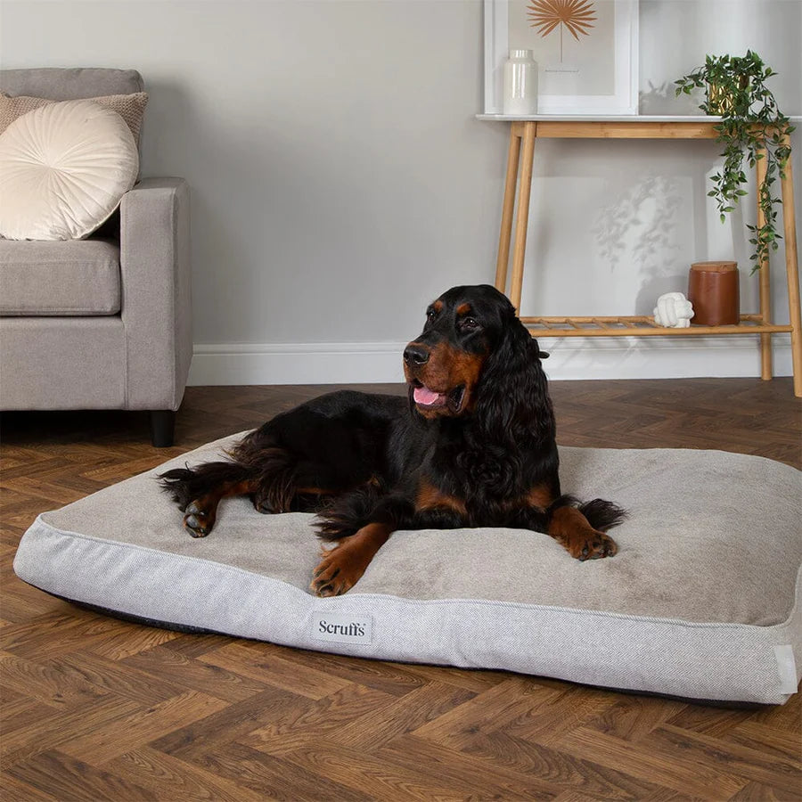 Top 10 Orthopedic Dog Beds for Senior Dogs (UK Guide) Scruffs Harvard Memory Foam Orthopaedic Mattress – Warmako