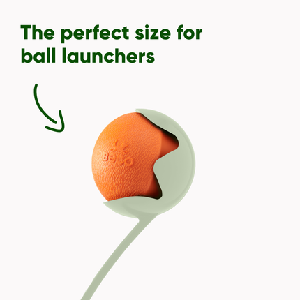 Fetch Ball