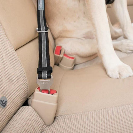 Hunde-Sicherheitsgurtschlaufe