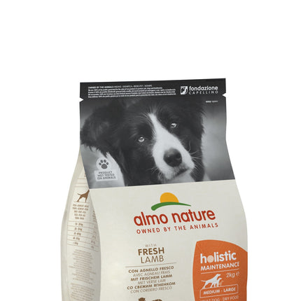 Holistic Dry Food for Medium & Large Breed Dogs - Maintenance - M/L