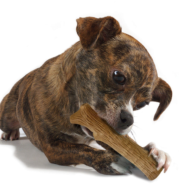 Dogwood Durable Stick