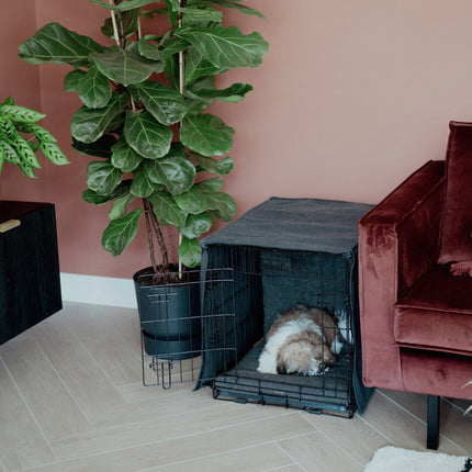 CRATE Box Abdeckung