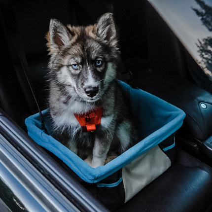 Rover Booster Seat