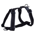 Rukka Leashes