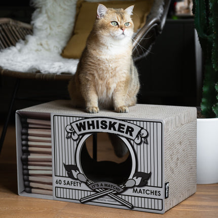 Whisker