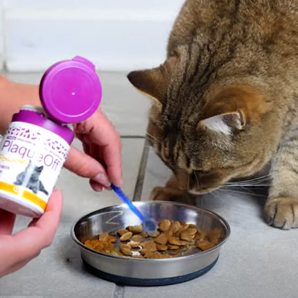 PlaqueOff Powder for Cats