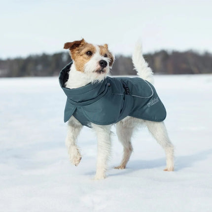 Stormy Coat