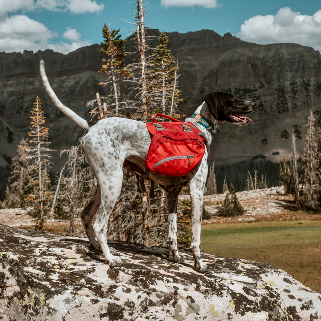 Big Baxter Rucksack