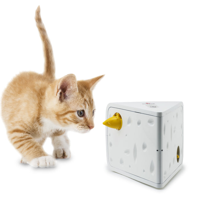 Cheese™ Automatisches Katzenspielzeug