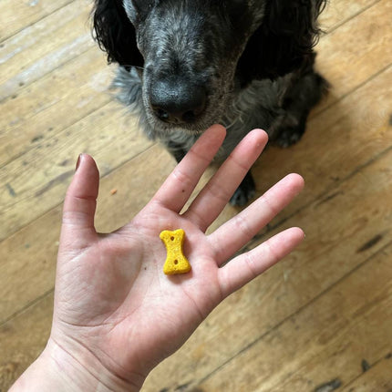Treats - Peanut with Coconut &amp; Turmeric