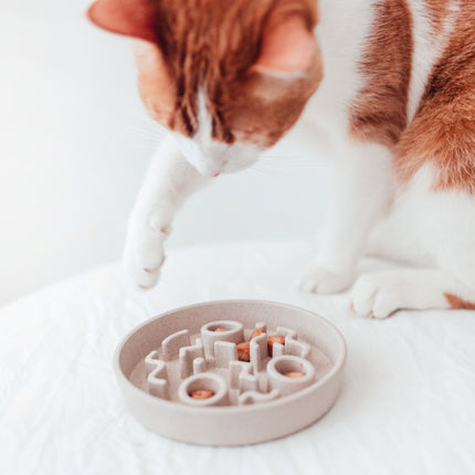 BAMBOO Slow Feeder Cat Bowl