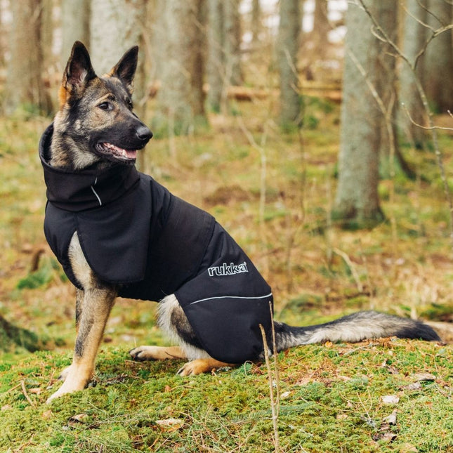 Windy Thermojacke