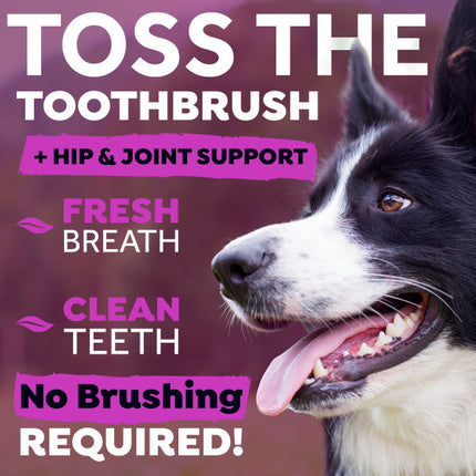 Fresh Breath - Water Additive Plus Hip & Joint for Dogs