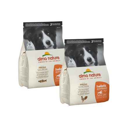 Holistic Dry Food for Medium & Large Breed Dogs - Maintenance - M/L