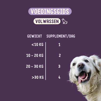 Hip & Joint Supplement for Dogs