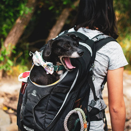 G-Train Dog Carrier Backpack