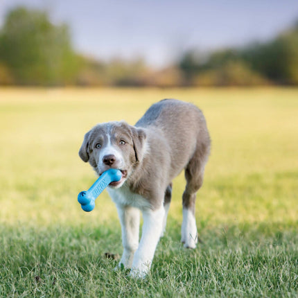Puppy Goodie Bone™ - Sortiert
