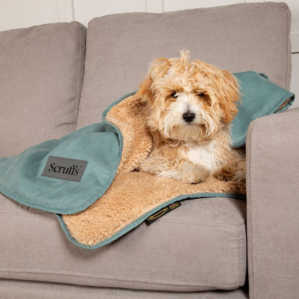 Display Cosy Blanket - 40 Stück