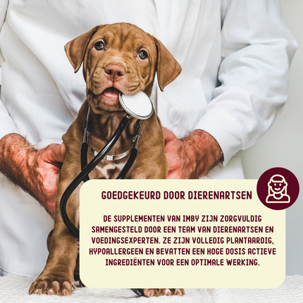 Allergy & Itch - Ergänzungsfuttermittel für Hunde - 270g