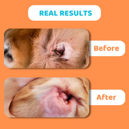 Ear Cleaner