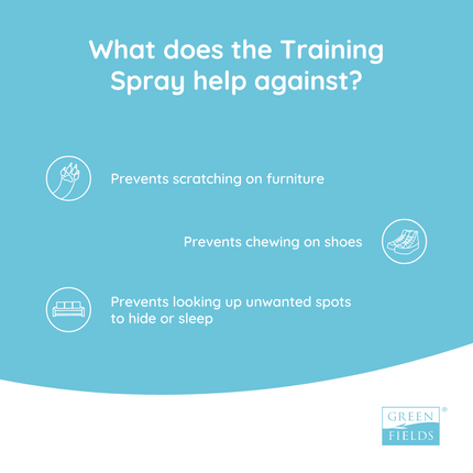 Trainingsspray 400 ml