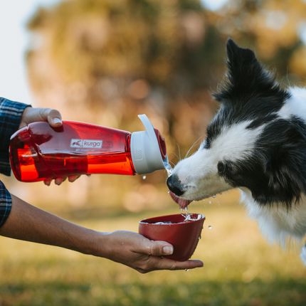 Gourd H2O Bottle & Bowl Trinkflasche
