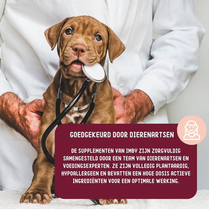 Skin Health - Ergänzungsfuttermittel für Hunde - 270g