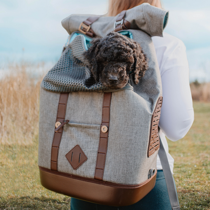 Rucksack für Hunde