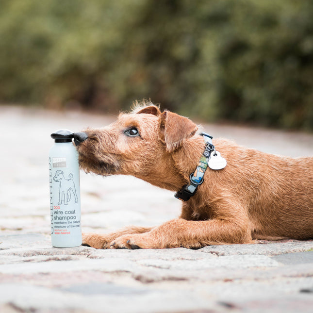 Hundeshampoo Wire Coat 270 ml