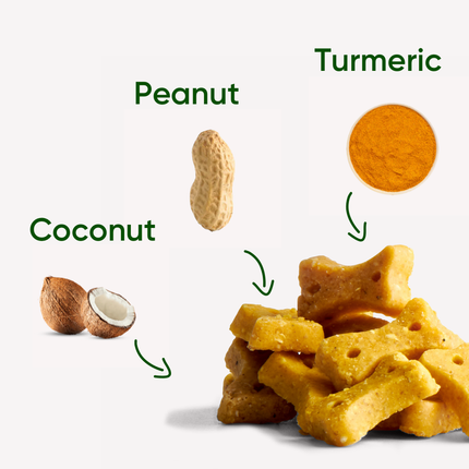 Treats - Peanut with Coconut &amp; Turmeric