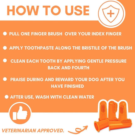 Dental Kit
