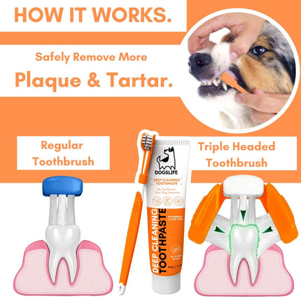 Dental Kit