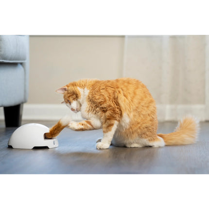 Fox Den Toy Automatisches Katzenspielzeug