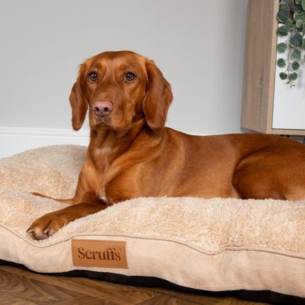 Display Cosy Mattress Combo - 18 stuks