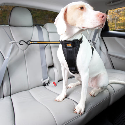 Auto Zip Line für Hunde