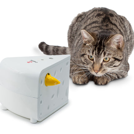 Cheese™ Automatisches Katzenspielzeug