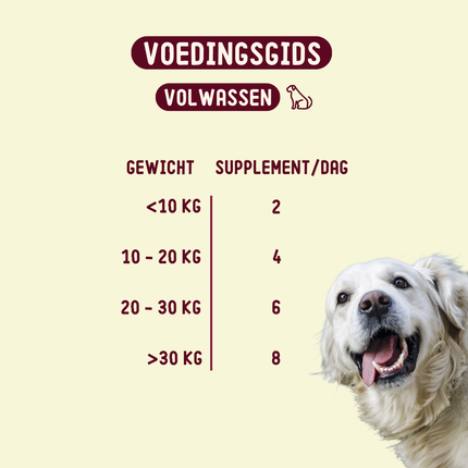 Allergy & Itch - Ergänzungsfuttermittel für Hunde - 270g