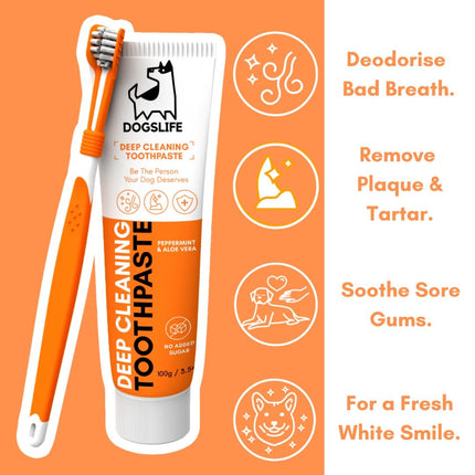 Dental Kit