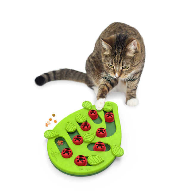 Buggin' Out Puzzle &amp; Play