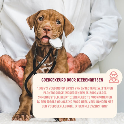 Gastrointestinal Trockenfutter auf Insektenbasis