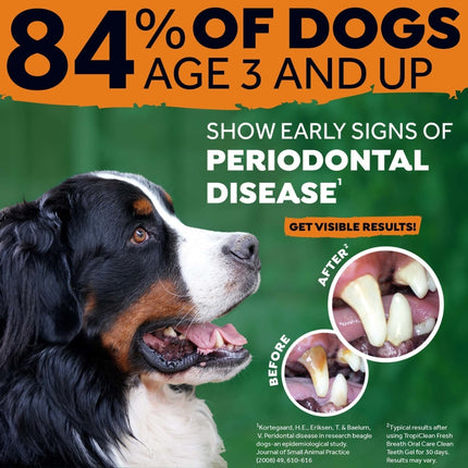 Fresh Breath - Oral Care Kit for Big Dogs