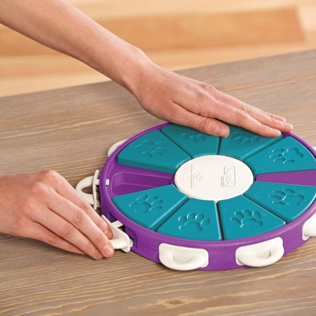 Hunde-Twister