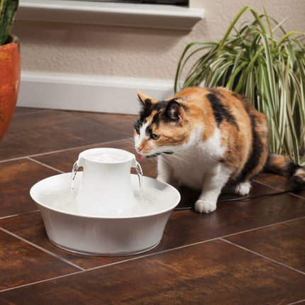 Avalon Pet Fountain - 2 L
